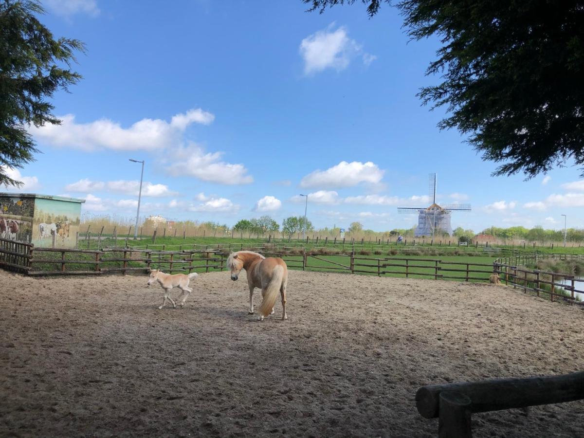 Chalet Aan De Rotte Rotterdam Eksteriør bilde