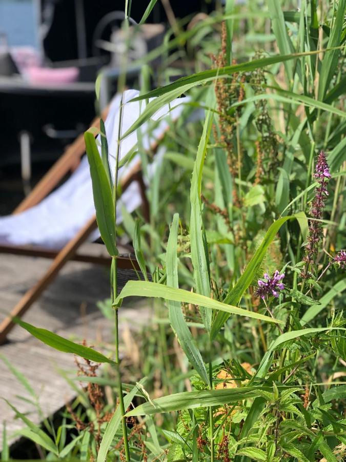 Chalet Aan De Rotte Rotterdam Eksteriør bilde